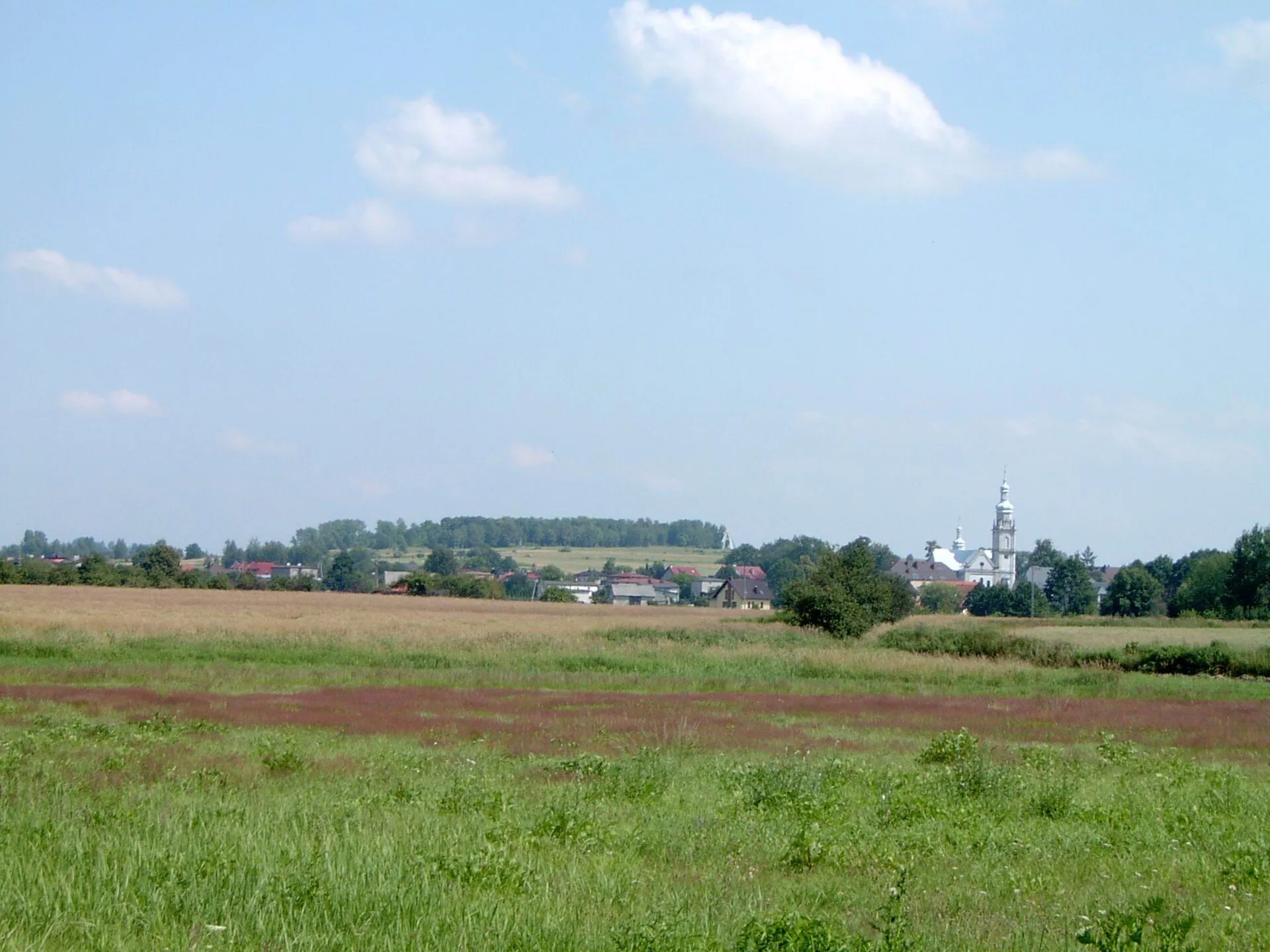 Chełm Śląski - Chełm Śląski - panorama
